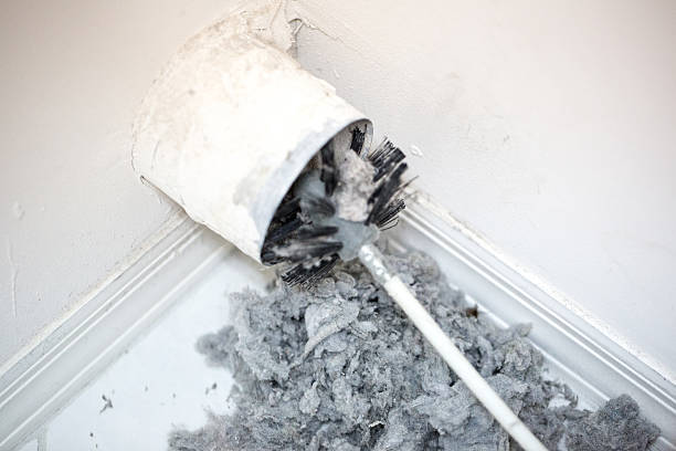 Best Affordable HVAC Duct Cleaning  in Chicopee, MA